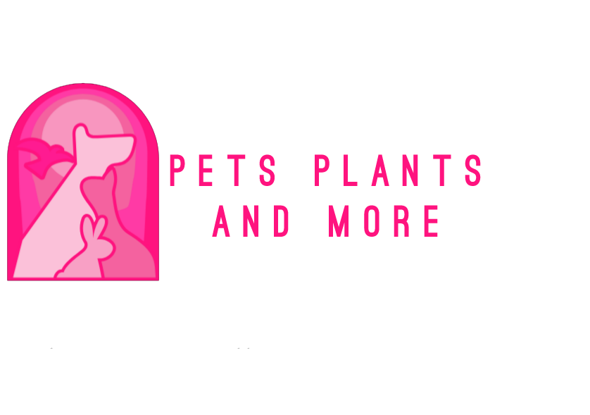Pets Plants and More